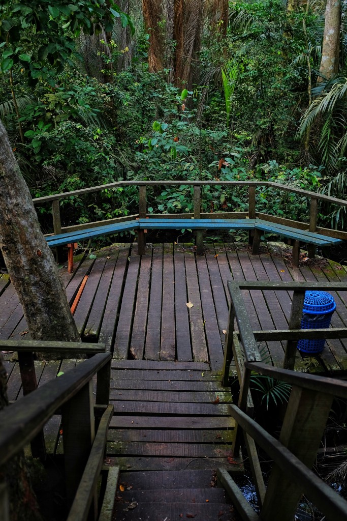 Stairs down the tree house, Lekki Conservation Centre