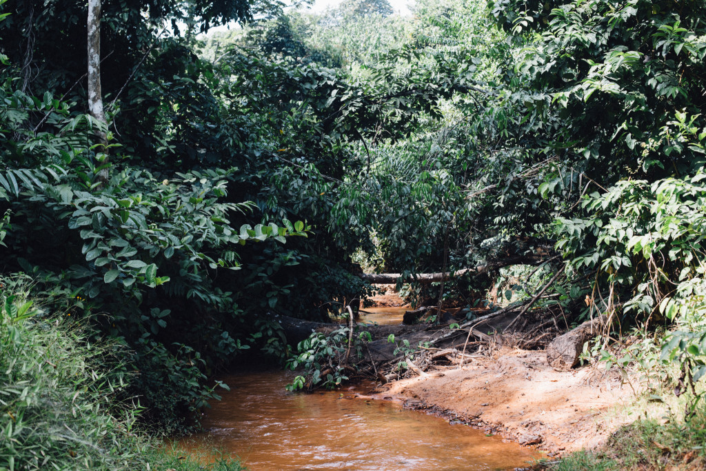Stream, Awhum Waterfall and Cave, Enugu