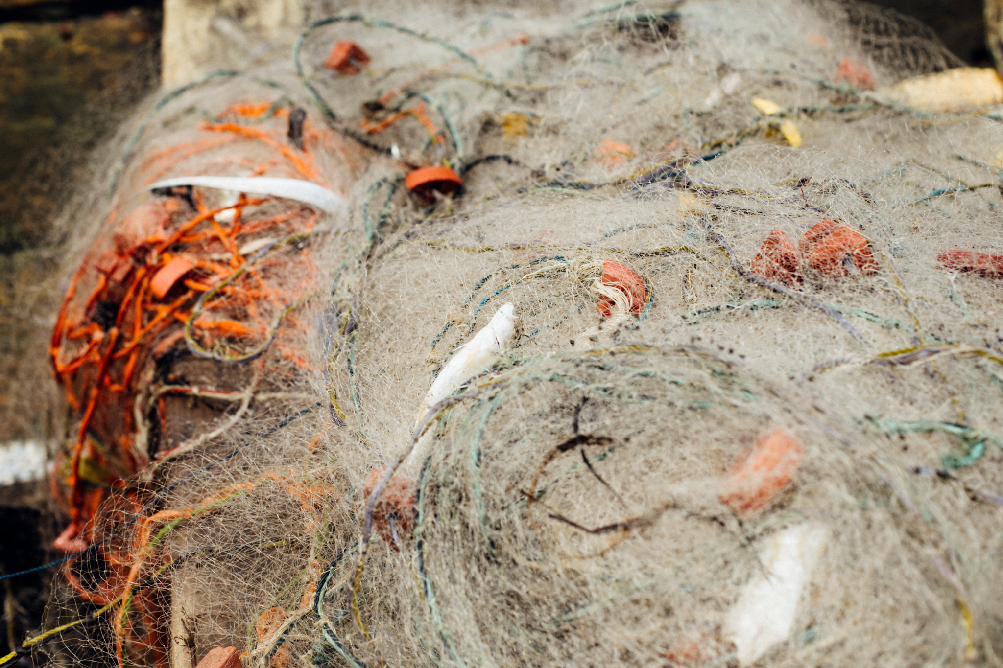 Fishing net, Ibeno Beach