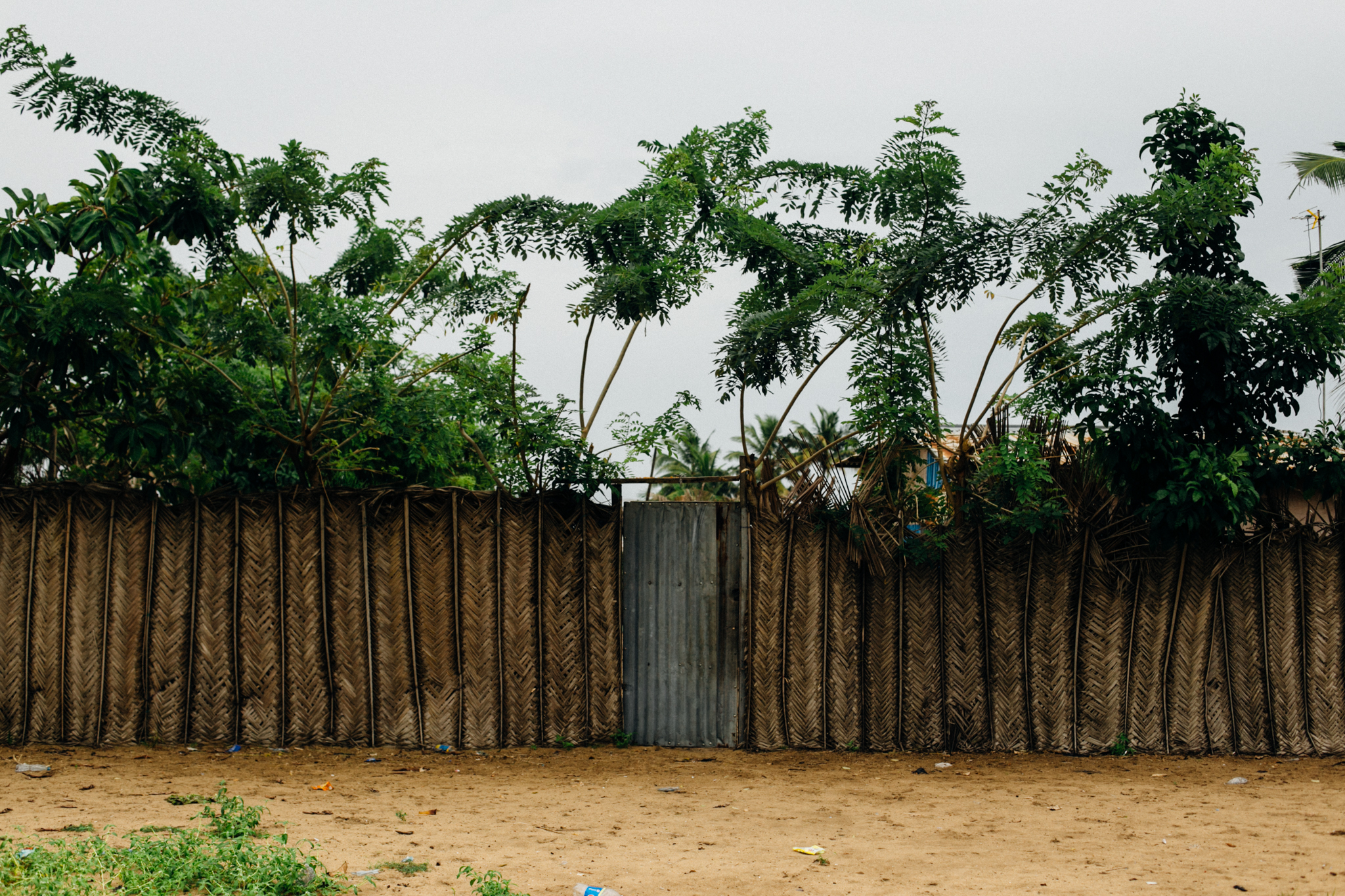 Rafia fence, Tsrkwa Bay, Lagos
