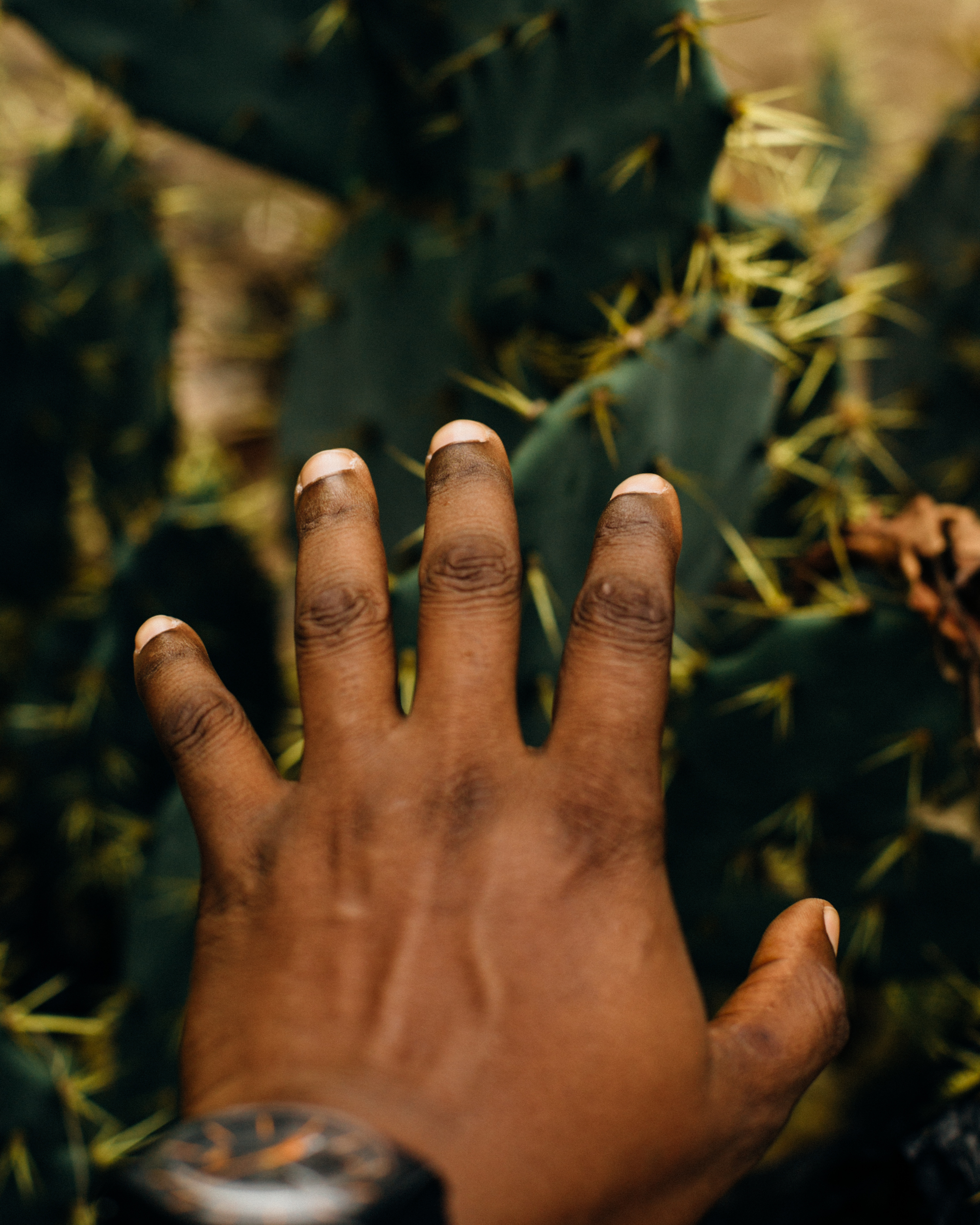 Hands and Thorns, Tarkwa Bay