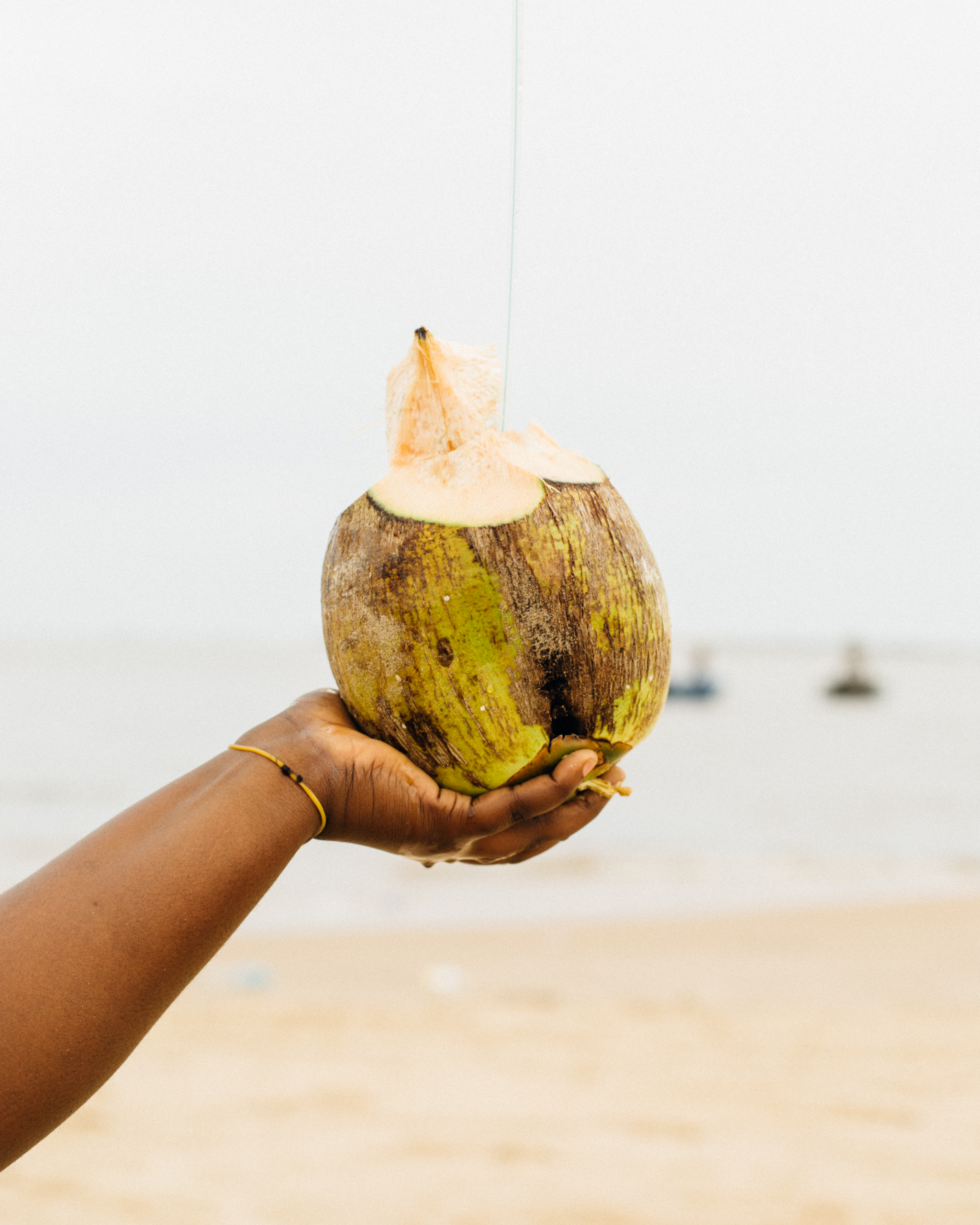 Coconut, Tarkwa Bay Baech