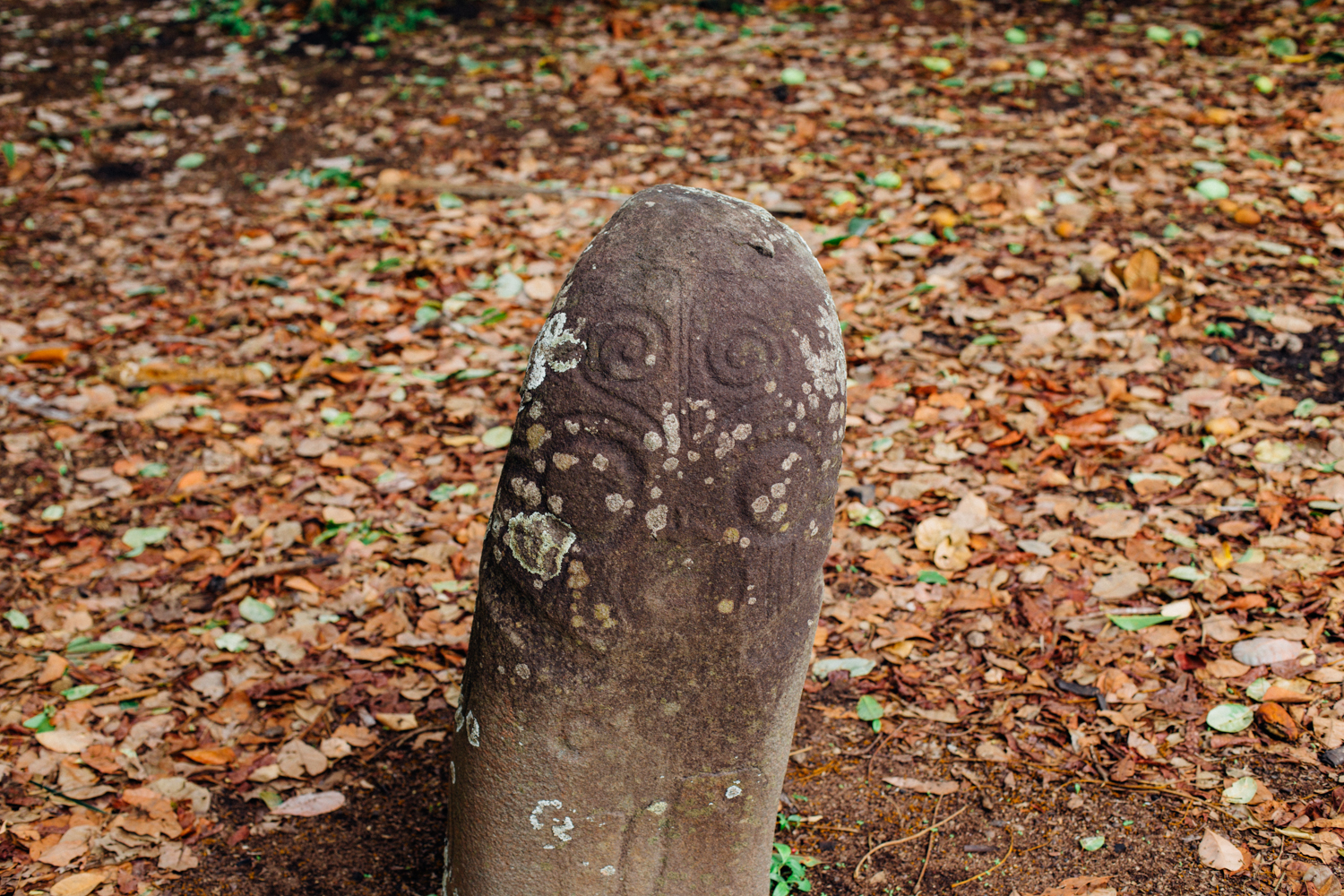 Alok-Ikom Stone Monolith