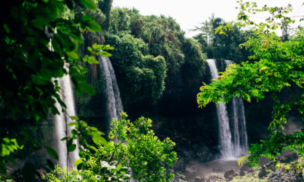 Travel Destination: Agbokim Waterfall