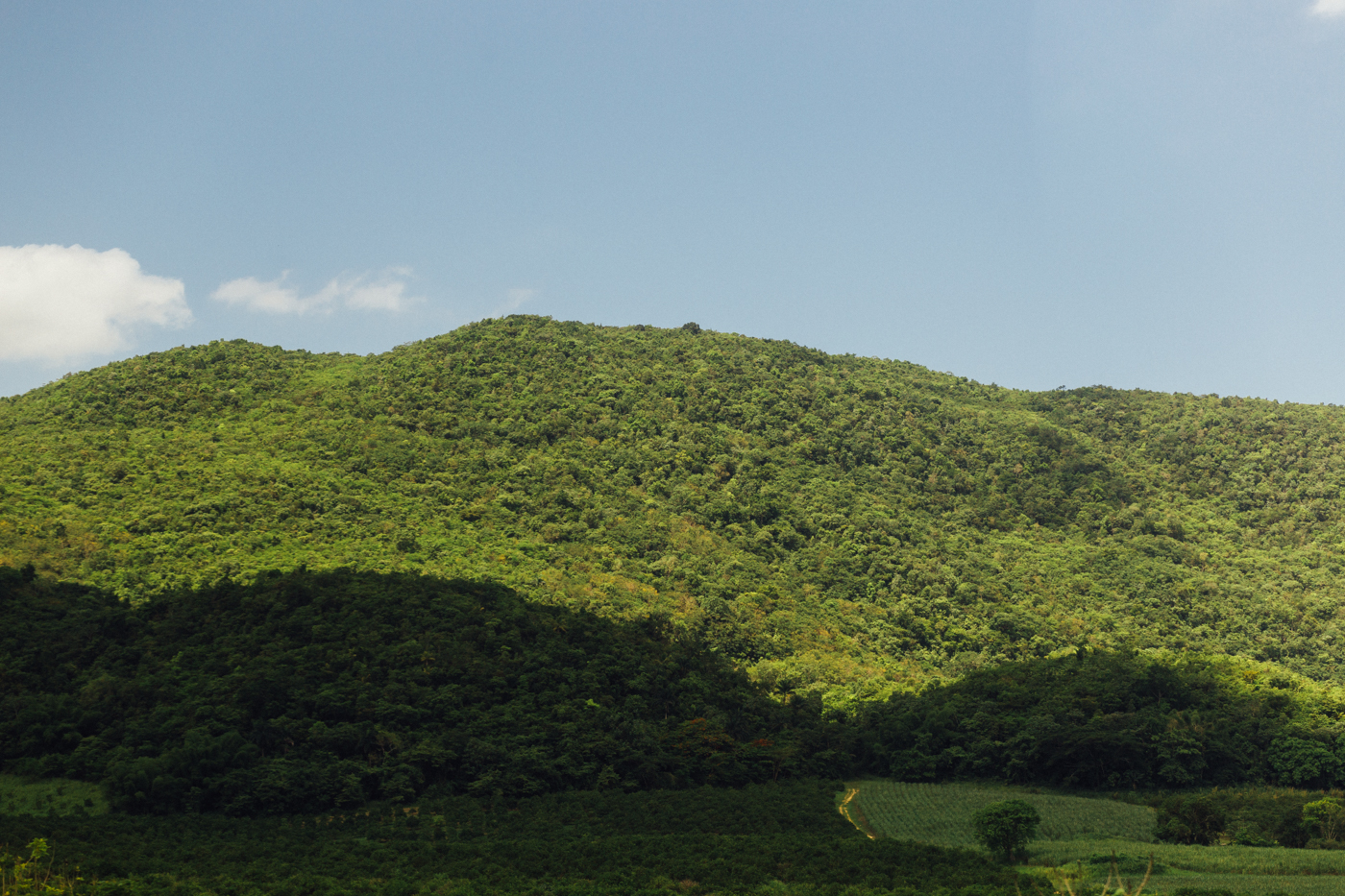 Hills on the way to Kingston from MoBay
